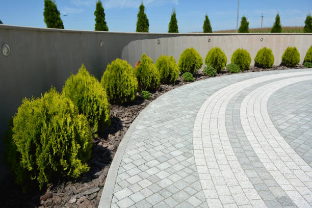 Best Driveway Pavers Near Me  in Godley, TX